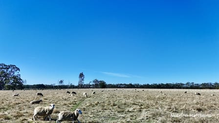 Click to view all images Allotment 39 Paynes Lane Digby VIC 3309 - Image 3