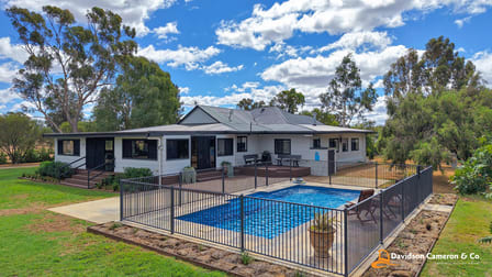 "Grovewood" 10221 Kamilaroi Highway Gunnedah NSW 2380 - Image 1