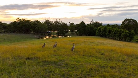 100 Colonel Pye Drive Cobbitty NSW 2570 - Image 3