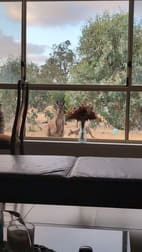 1043 Black Heath Rd Tungkillo SA 5236 - Image 3