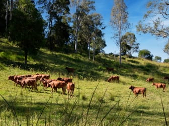 Click to view all images 246-274 Rasmussen Road Neurum QLD 4514 - Image 2