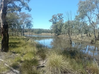 1025 Castlereagh Highway Dunedoo NSW 2844 - Image 1