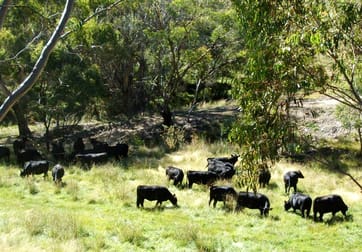 507 Harolds Cross Road Braidwood NSW 2622 - Image 2