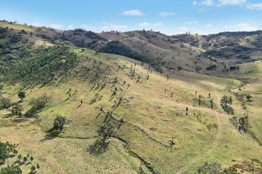 2/1193 Yarrabin Road Mudgee NSW 2850 - Image 3