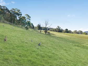 Click to view all images 111 Magpie Hollow Road Lithgow NSW 2790 - Image 1