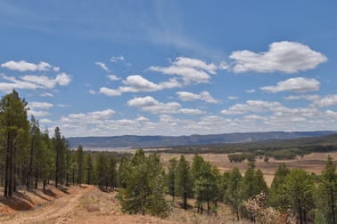 318 Tara Road MUMBIL via Wellington NSW 2820 - Image 1