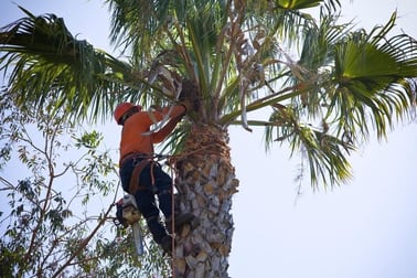 Gardening  business for sale in QLD - Image 2