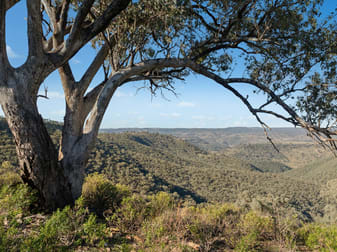 1018 Mount Aquila Road Stuart Town NSW 2820 - Image 2