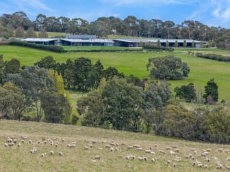 504 Sidonia Road Sidonia VIC 3444 - Image 2