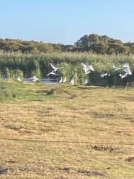 1408A&B Randell Road Hindmarsh Island SA 5214 - Image 2