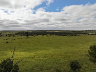 5074 Alpha Tambo Road Alpha QLD 4724 - Image 2