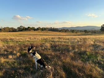 Camerons Hill Lot 17 Reynolds Lane Binalong NSW 2584 - Image 1