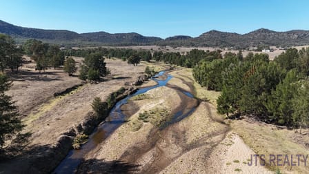 197 Mount Dangar Road Baerami NSW 2333 - Image 2