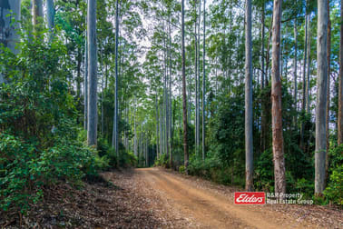 Off Thunderbolts Way, MARES RUN via Gloucester NSW 2422 - Image 2