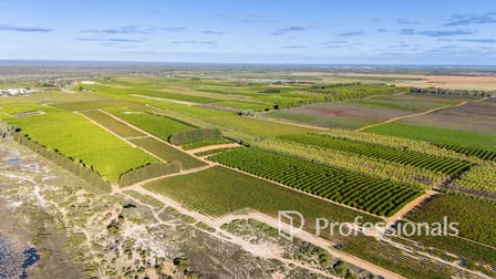 2050 Kulkyne Way Iraak VIC 3494 - Image 3