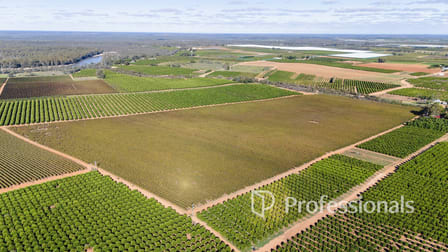 2836 Kulkyne Way Nangiloc VIC 3494 - Image 3