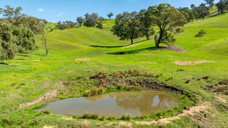 Sandy Creek Road Sandy Creek VIC 3695 - Image 2