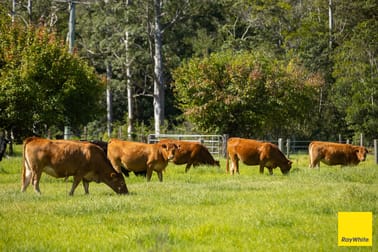 131 Crawford River Road Crawford River NSW 2423 - Image 2