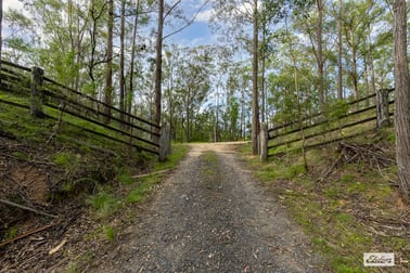 3784 Snowy Mountains Highway Bemboka NSW 2550 - Image 3