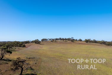 Oaklands Road Dutton SA 5356 - Image 2