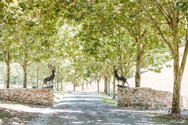 562 Nowra Road Moss Vale NSW 2577 - Image 3