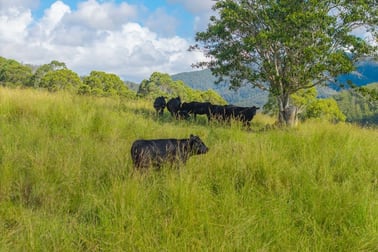 40 Ready Money Road Upper Rollands Plains NSW 2441 - Image 3