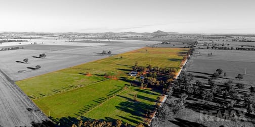 268 Andrews Road, Brookdale NSW 2656 - Image 3