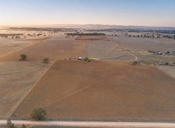 Caruba, 176 Uphills Lane Purlewaugh NSW 2357 - Image 1