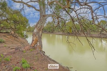 3 Low Darling Road Wentworth NSW 2648 - Image 1