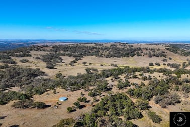 229 Gowang Road Coonabarabran NSW 2357 - Image 2