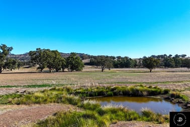 229 Gowang Road Coonabarabran NSW 2357 - Image 3