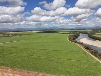 14 Magees Road Bloomsbury QLD 4799 - Image 1