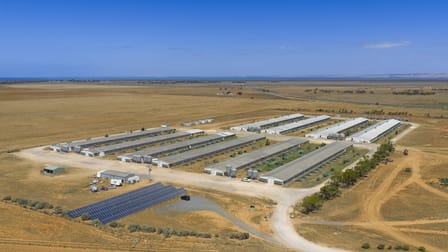 18 Pareora Road Port Wakefield SA 5550 - Image 1