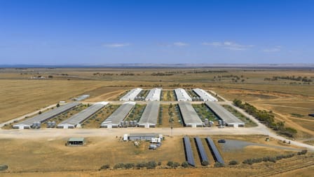 18 Pareora Road Port Wakefield SA 5550 - Image 3