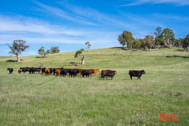 170 Dog Rocks Road Black Springs NSW 2787 - Image 1