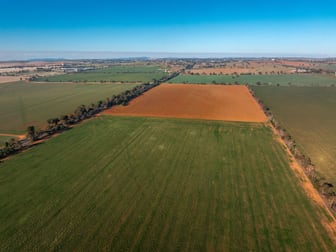 3685 Olympic Highway Junee NSW 2663 - Image 2