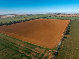 3685 Olympic Highway Junee NSW 2663 - Image 3