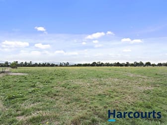 295 Labertouche Road Labertouche VIC 3816 - Image 3