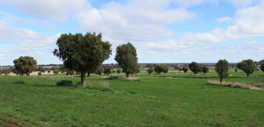 0 "DOOROOMBAH" Tooraweenah Dubbo NSW 2830 - Image 2