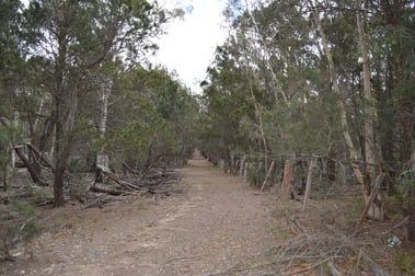 260 Sturgiss Lane Tarago NSW 2580 - Image 3