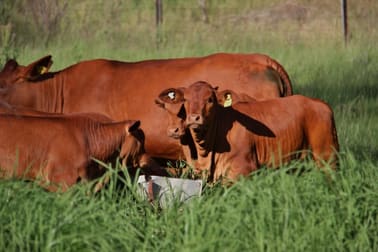375 North Branch Road Maryvale QLD 4370 - Image 1