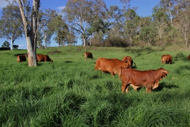 375 North Branch Road Maryvale QLD 4370 - Image 3