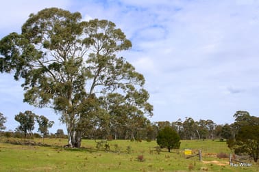 404 Burden Drive Nerriga NSW 2622 - Image 1