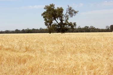 6604 Young Road Temora NSW 2666 - Image 2