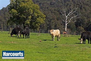 Click to view all images 85 Paynter Road Neerim Junction VIC 3832 - Image 1