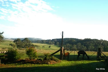 220 Narranghi Rd Braidwood NSW 2622 - Image 2