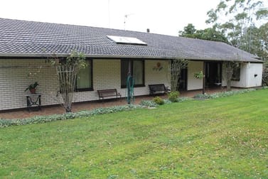 559 Timboon / Curdievale Road Timboon VIC 3268 - Image 3