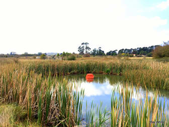 520 Majors Creek Road Braidwood NSW 2622 - Image 1