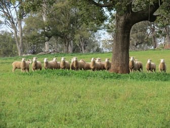 "Highfield/1523 Mitchell Highway Maryvale NSW 2820 - Image 1