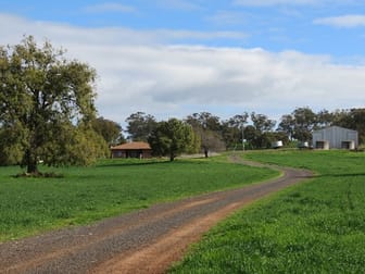 "Highfield/1523 Mitchell Highway Maryvale NSW 2820 - Image 2